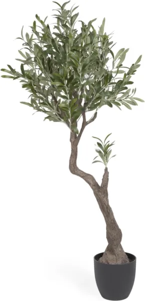 Olivo, Tekokasvi, musta, H140x55x50 cm