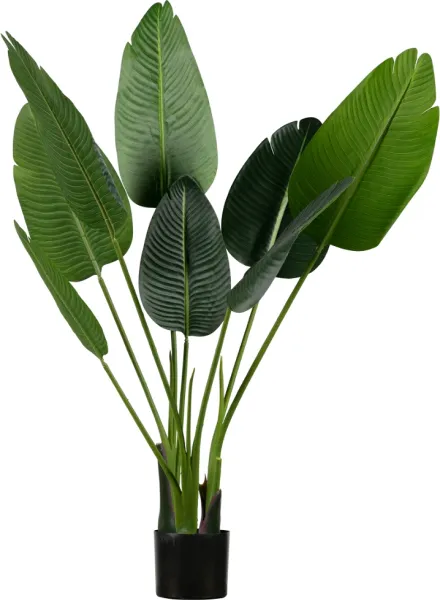 Strelitzia, Tekokasvi, vihreä, K108x61x50 cm